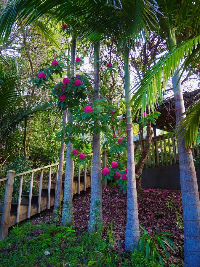 Tastebuds Bed N Breakfast Auckland Exterior photo